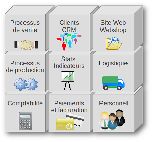 Software de gestion